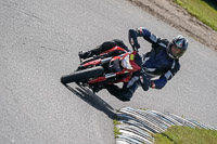 enduro-digital-images;event-digital-images;eventdigitalimages;lydden-hill;lydden-no-limits-trackday;lydden-photographs;lydden-trackday-photographs;no-limits-trackdays;peter-wileman-photography;racing-digital-images;trackday-digital-images;trackday-photos